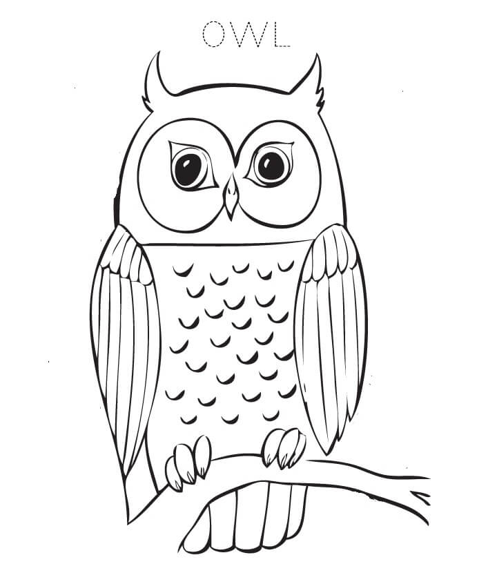 Dibujo de Bonito búho para Colorear