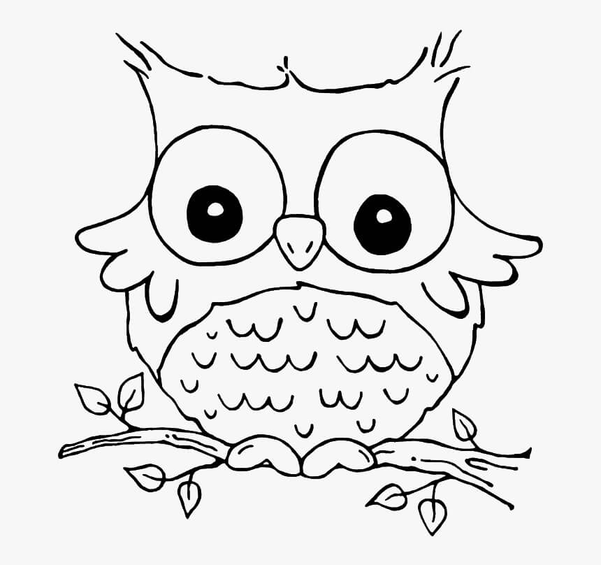 Dibujo de Búho Adorable para Colorear