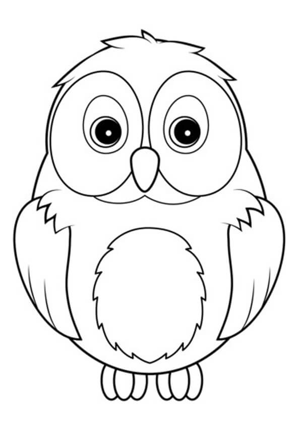Dibujo de Búho Asombroso para Colorear