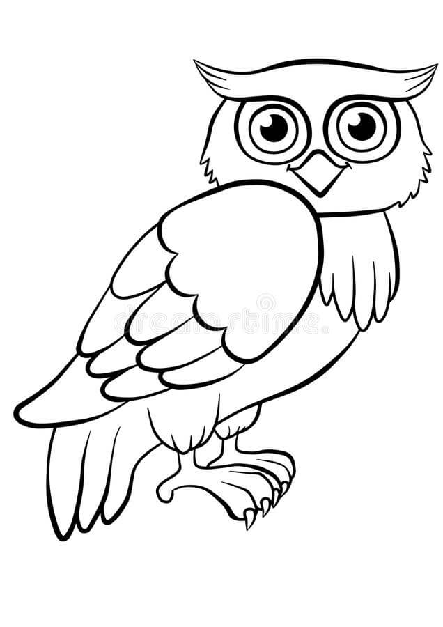 Dibujo de Búho básico para Colorear