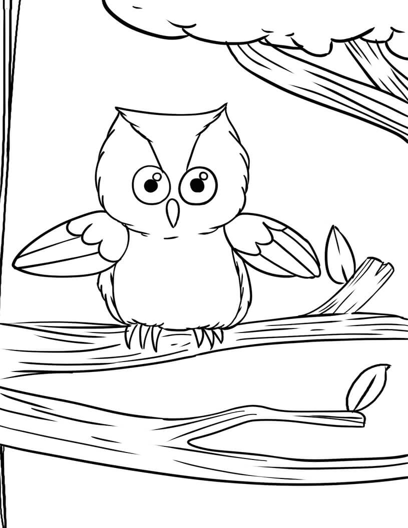 Dibujo de Búho Beanie Boos para Colorear