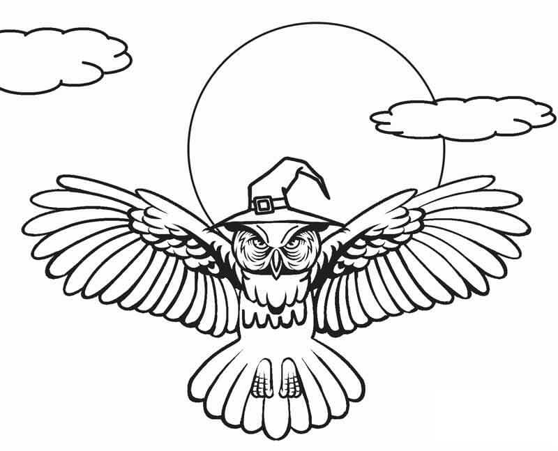 Dibujo de Búho Bruja Volando para Colorear