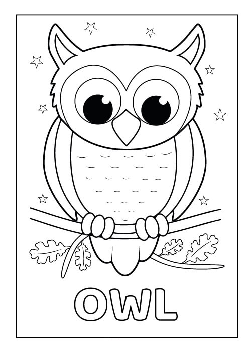 Dibujo de Búho con Estrella para Colorear
