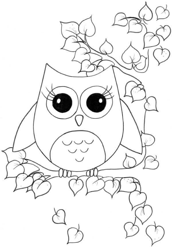 Dibujo de Búho en Rama de árbol para Colorear