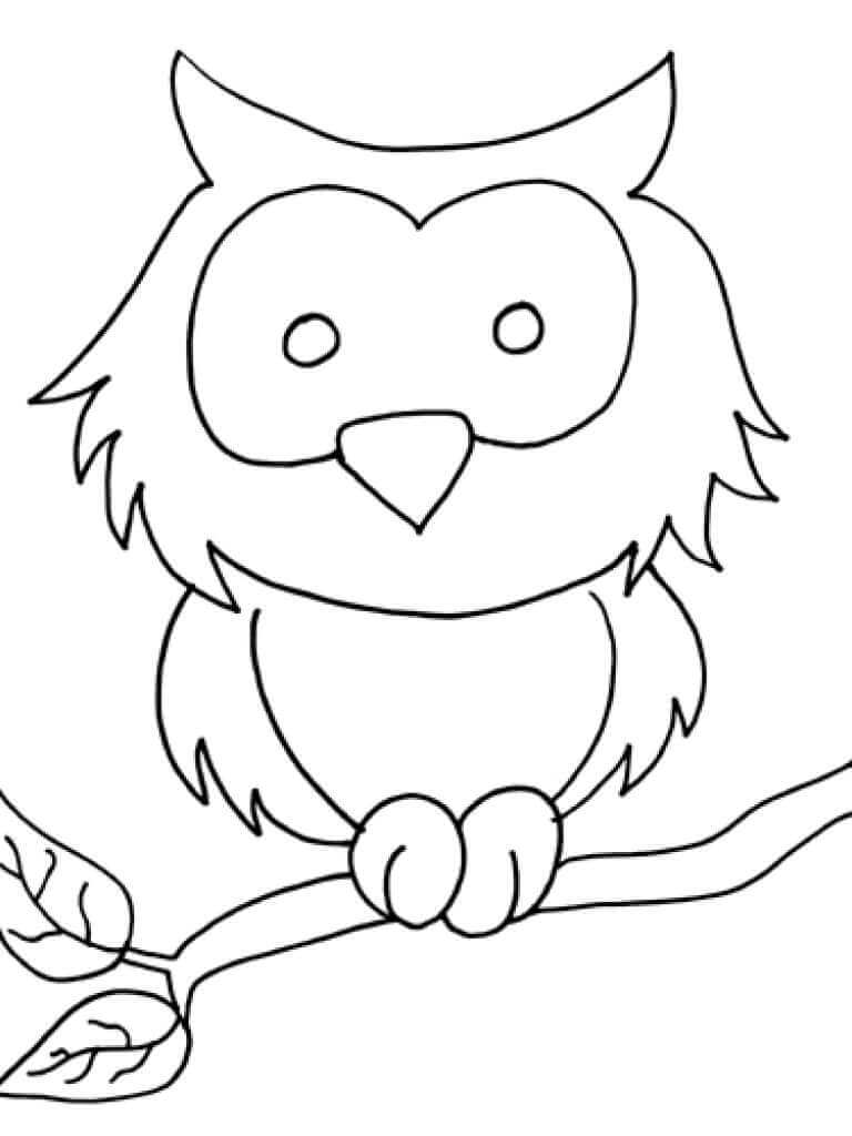 Dibujo de Búho fácil para Colorear