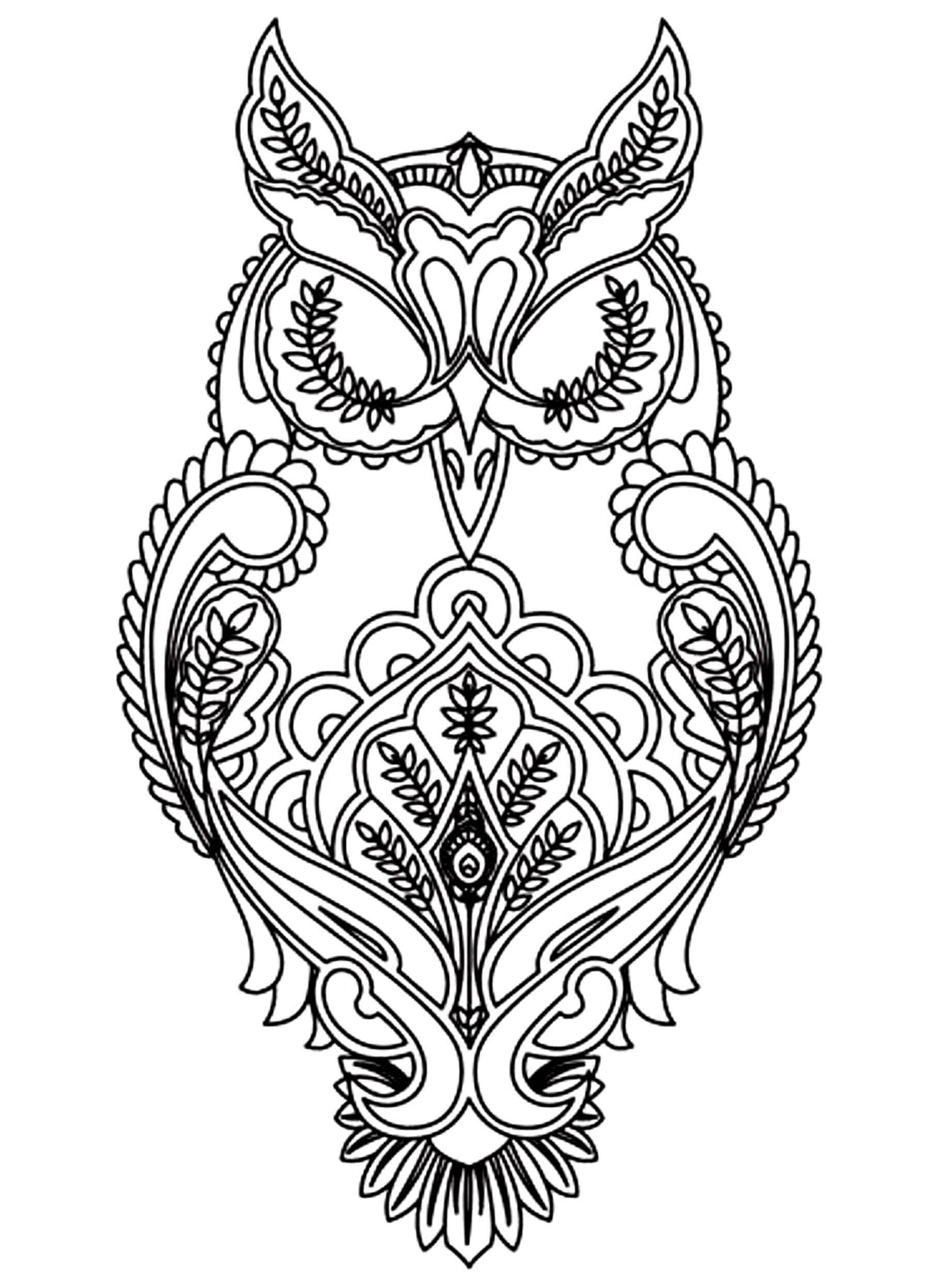 Dibujo de Búho Imprimible para Colorear