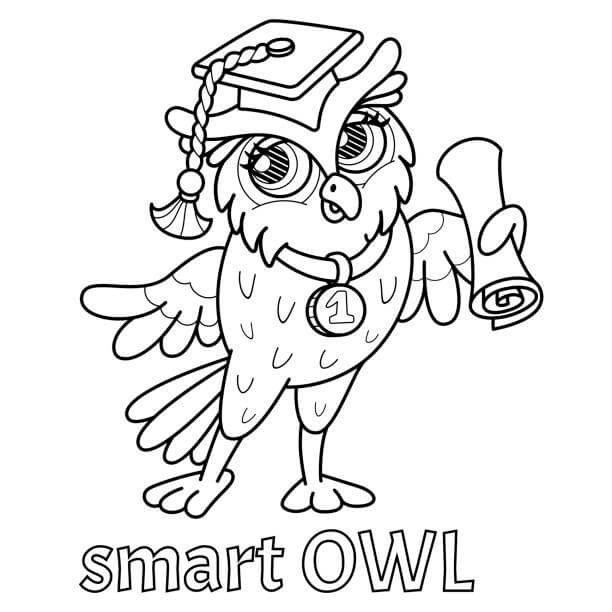 Dibujo de Búho Inteligente para Colorear