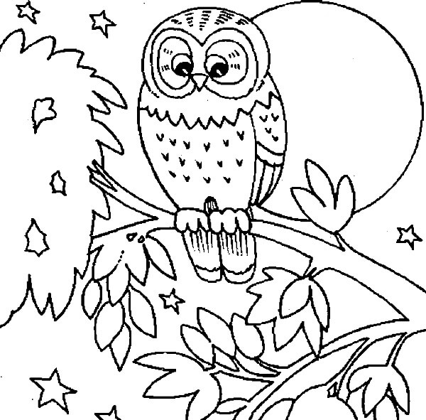 Dibujo de Búho Perfecto para Colorear
