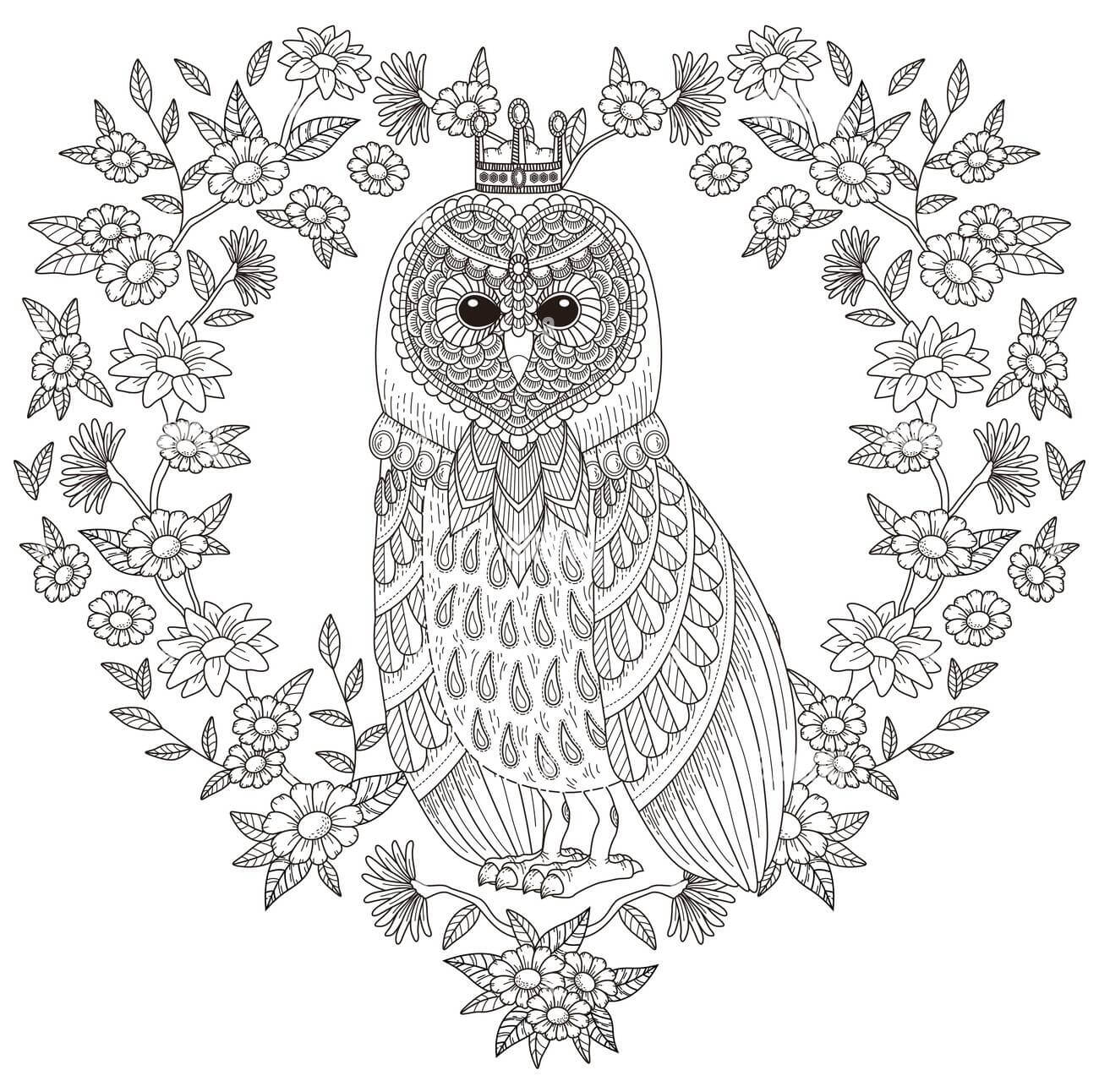 Dibujo de Búho Precioso para Colorear
