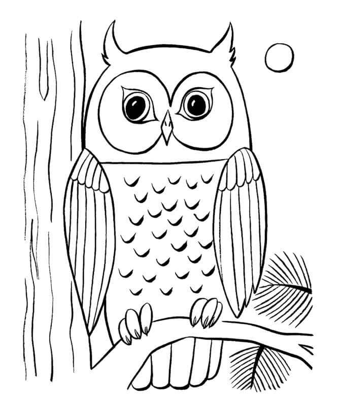 Dibujo de Búho Sencillo para Colorear