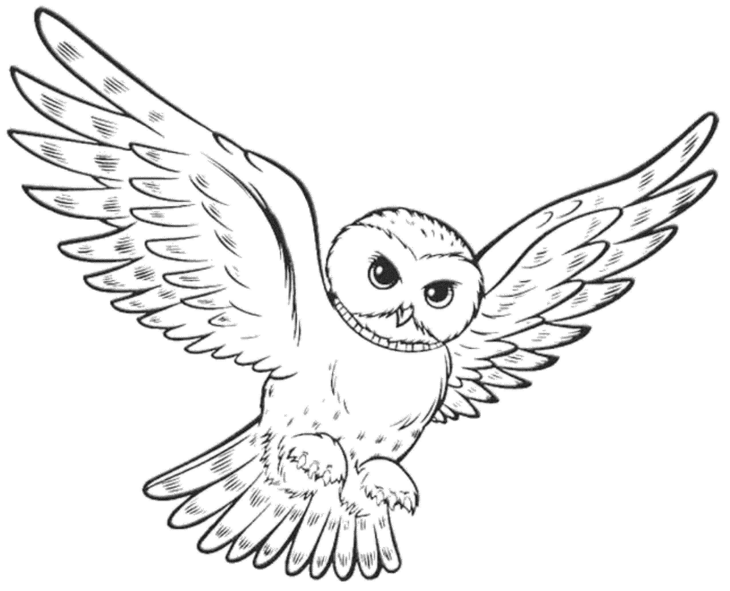 Dibujo de Búho Volando para Colorear