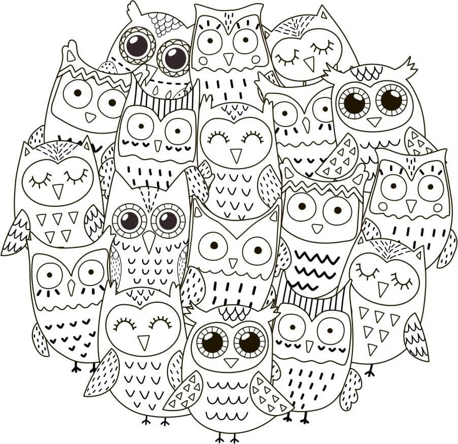Dibujo de Búhos de Dibujos Animados para Colorear