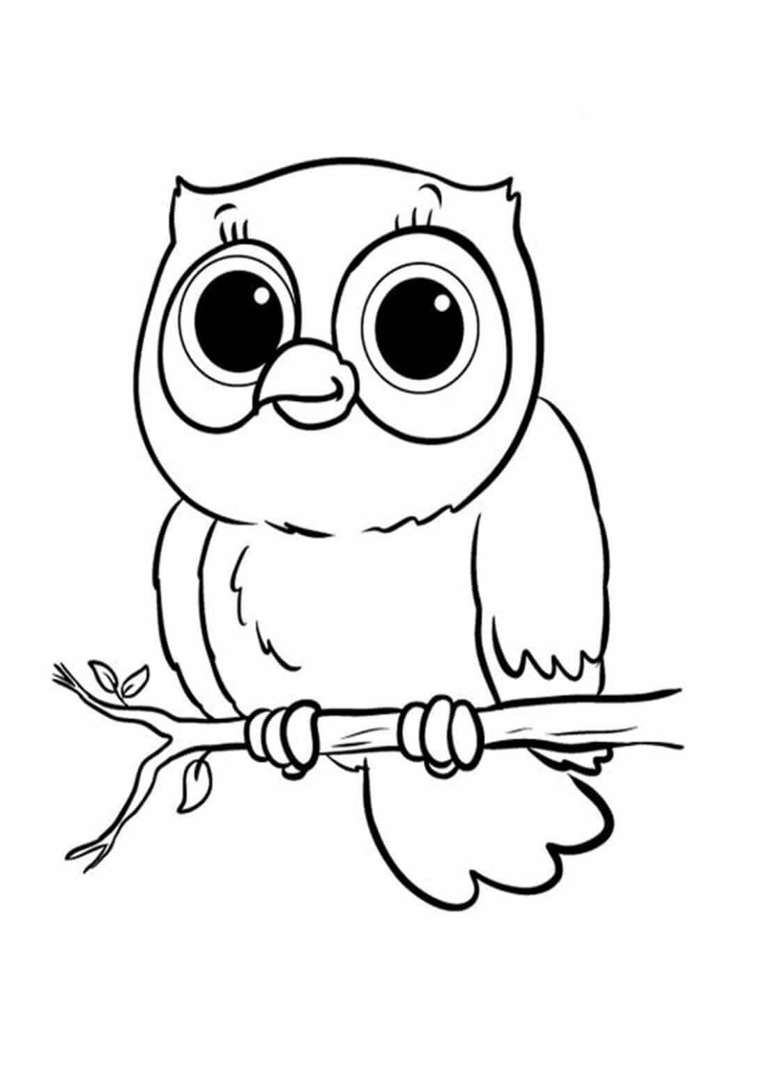 Dibujo de Lindo búho en Rama de árbol para Colorear