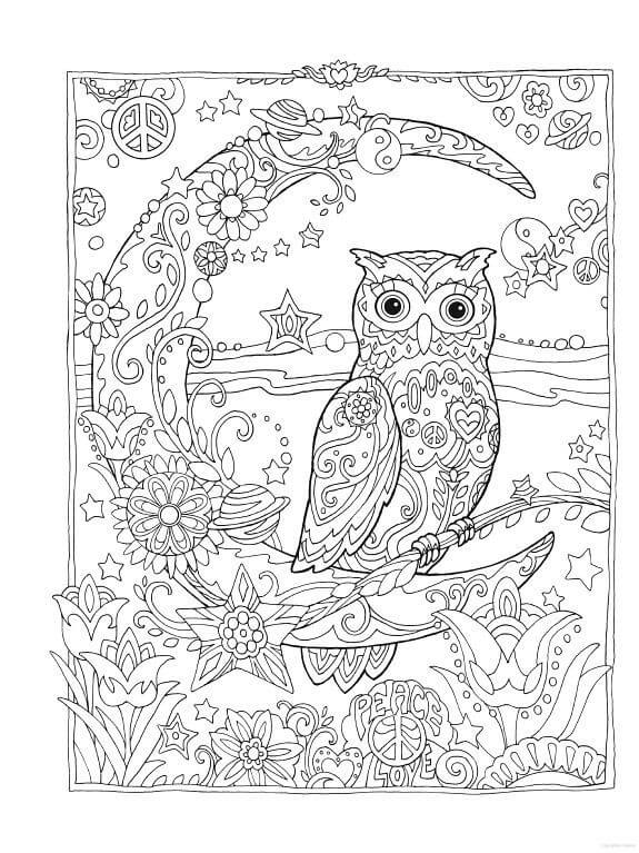Dibujo de Mandala de búho en la Noche para Colorear