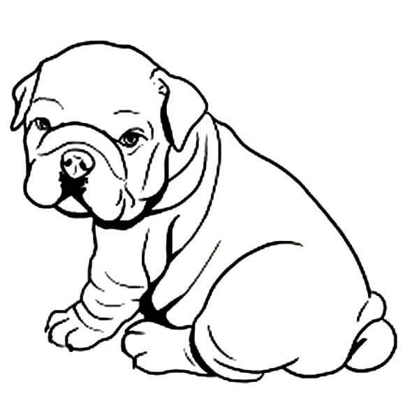 Dibujo de Beb Bulldog Sentado para Colorear