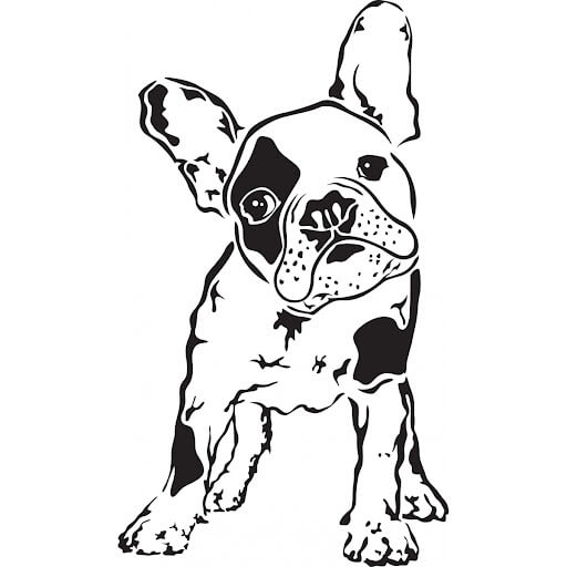 Dibujo de Buenos Bulldogs para Colorear