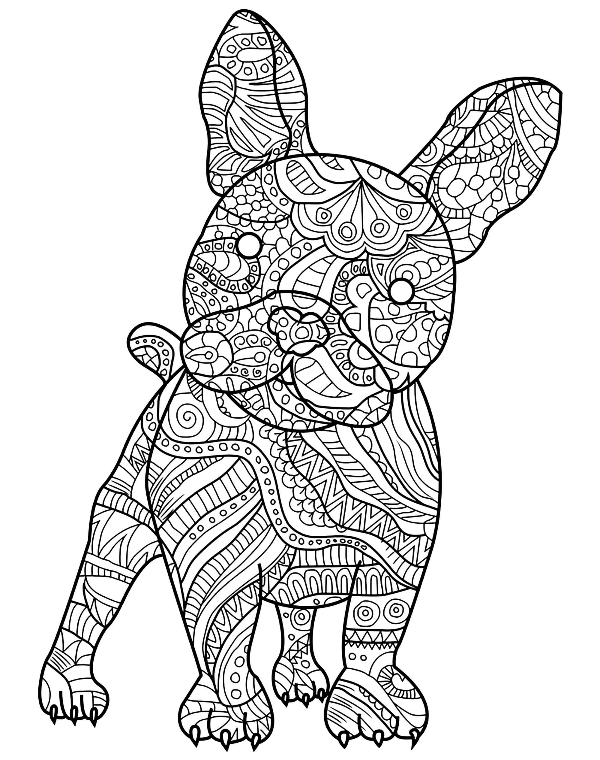 Dibujo de Bulldog Adulto para Colorear