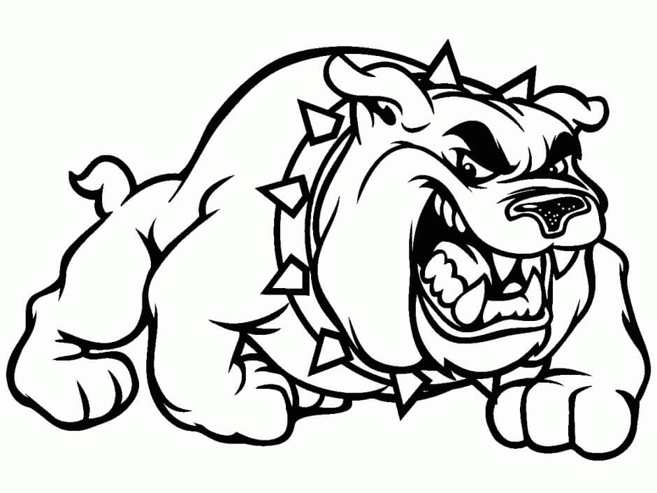 Dibujo de Bulldog Enojado para Colorear