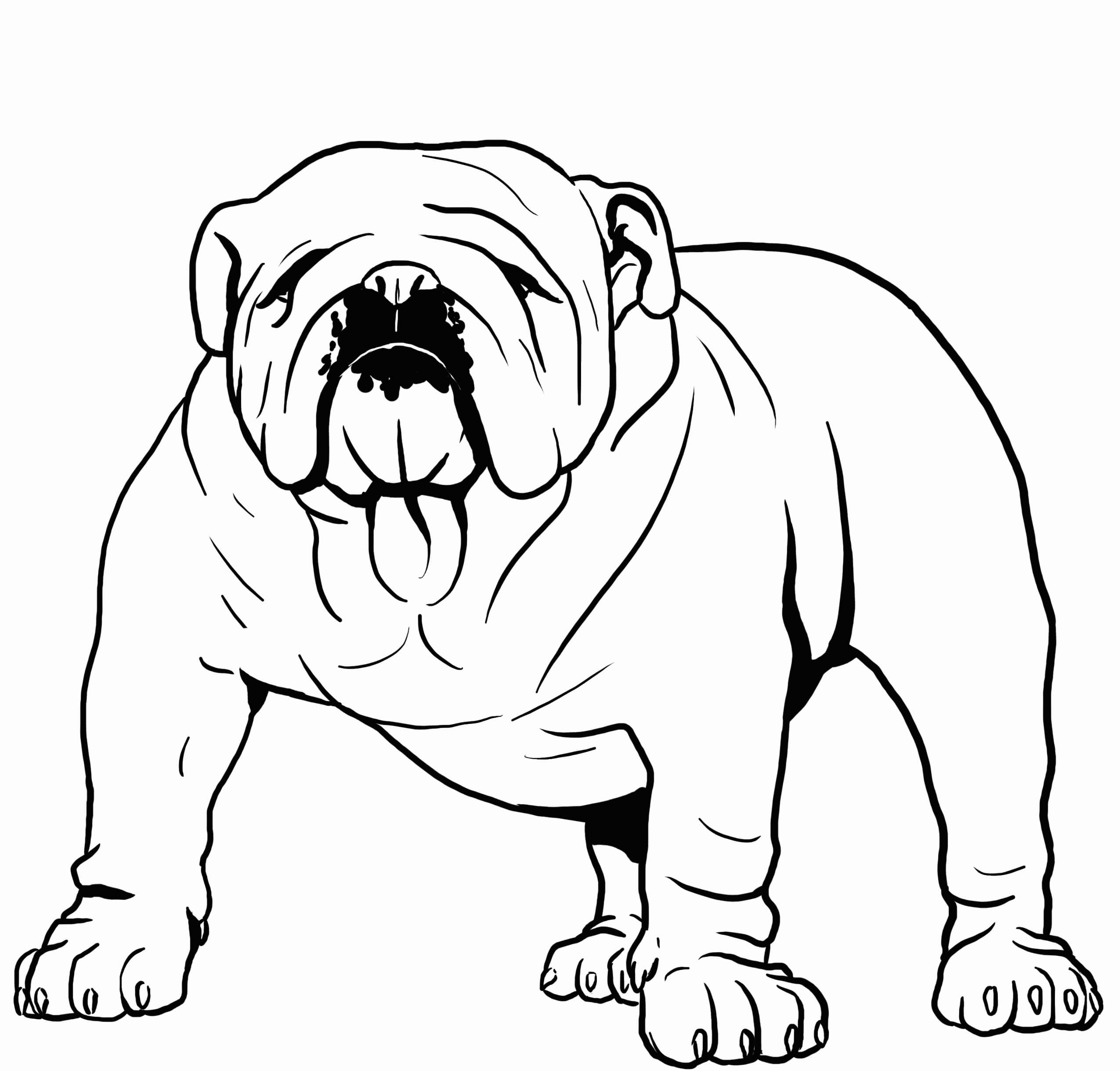 Dibujo de Bulldog Fuerte para Colorear