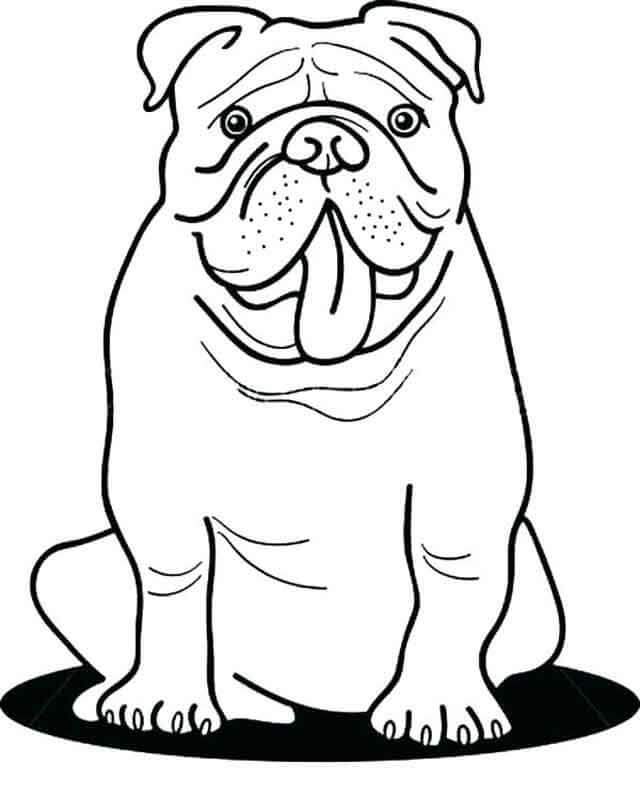 Dibujo de Bulldog Lindo para Colorear