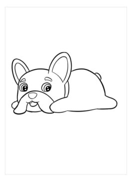 Dibujo de Bulldog Perfecto para Colorear