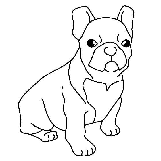 Dibujo de Bulldog Sentado para Colorear