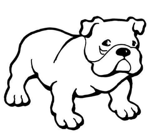 Dibujo de Bulldog Simple para Colorear