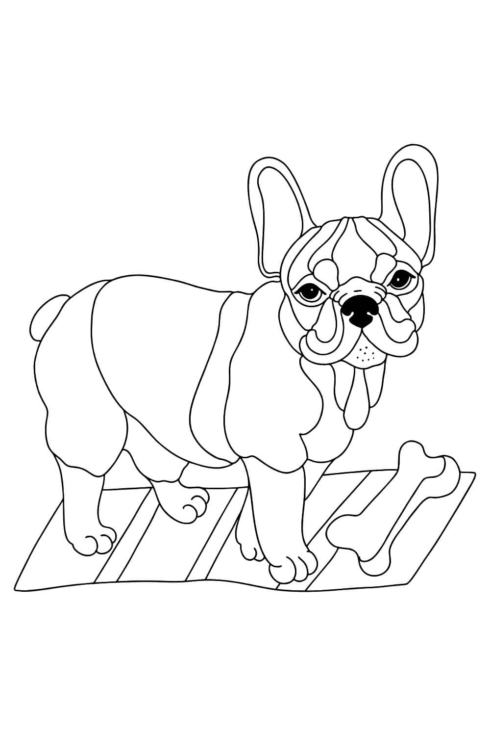 Dibujo de Bulldog con Hueso para Colorear