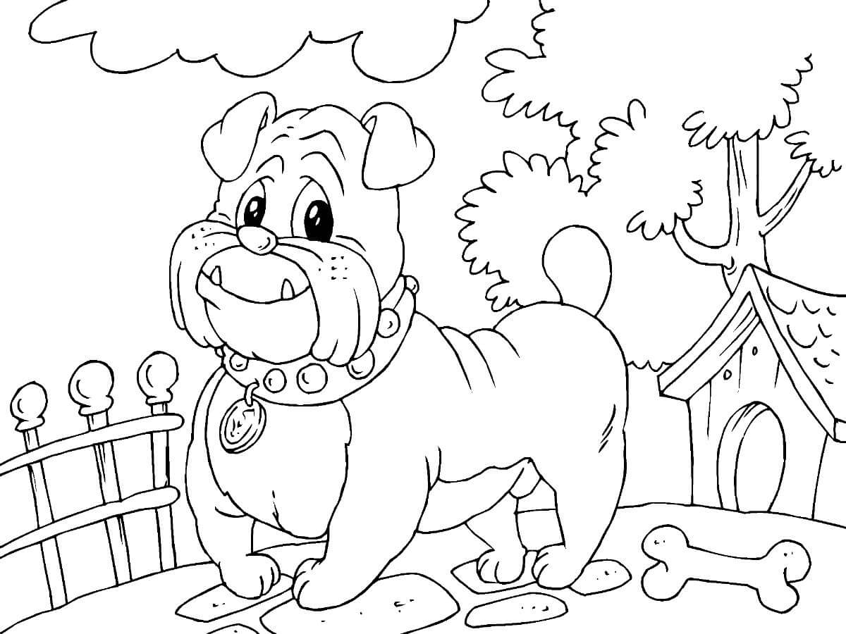 Dibujo de Bulldog de Dibujos Animados para Colorear