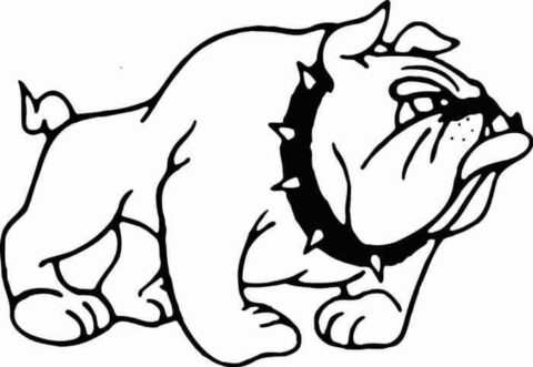 Dibujo de Gran Bulldog para Colorear