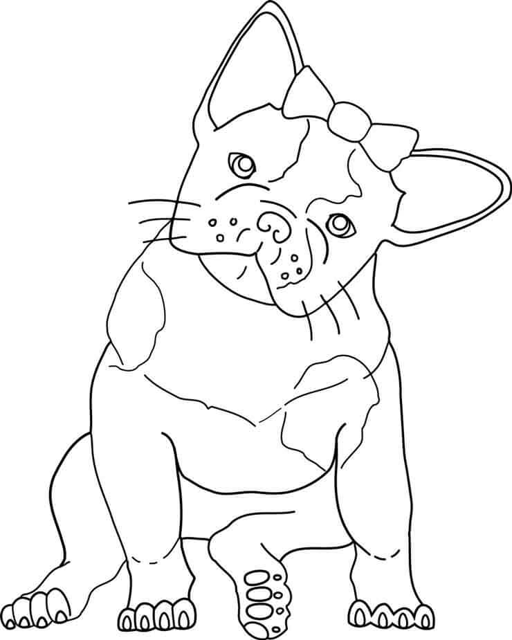 Dibujo de Kawaii Bulldog para Colorear