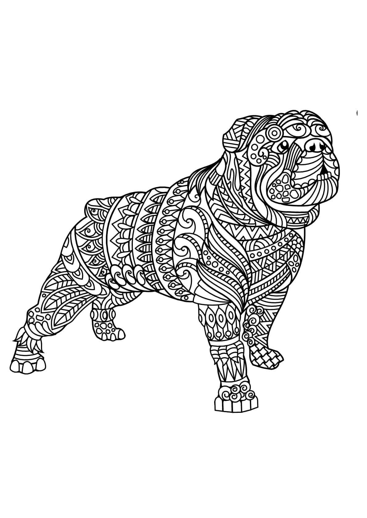 Dibujo de Mandala de Bulldog para Colorear