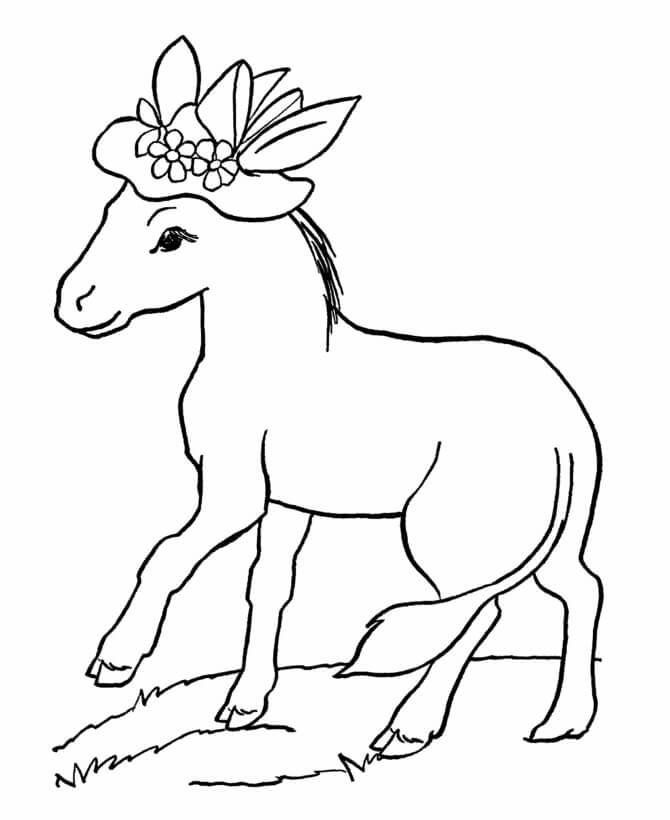 Dibujo de Buen Burro para Colorear