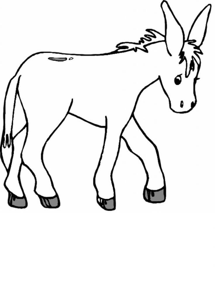 Dibujo de Burro Bsico para Colorear