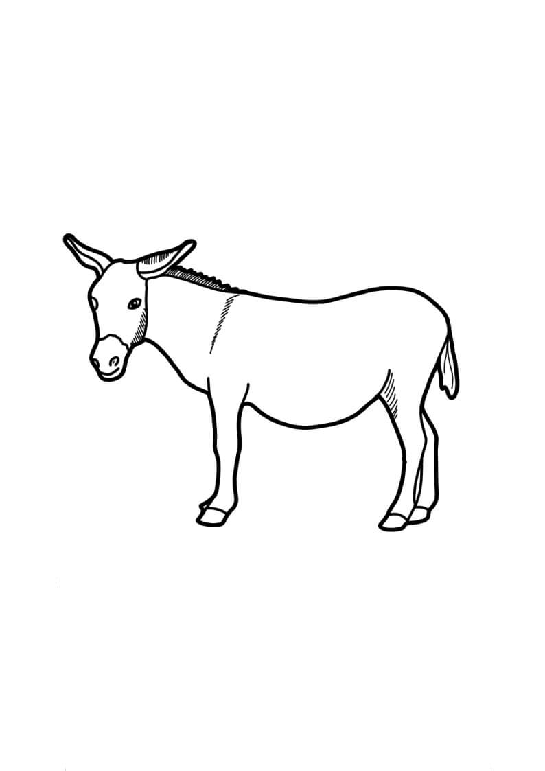 Dibujo de Burro Imprimible para Colorear