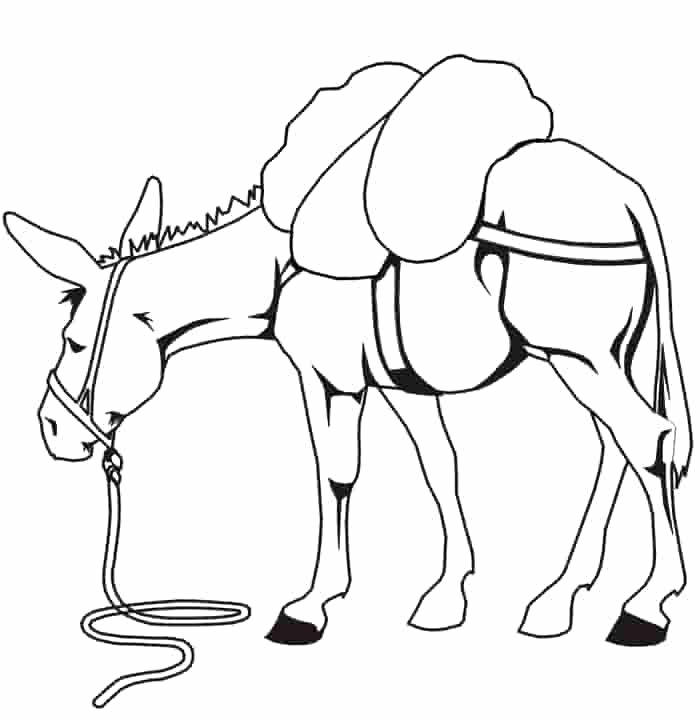 Dibujo de Burro Libre para Colorear