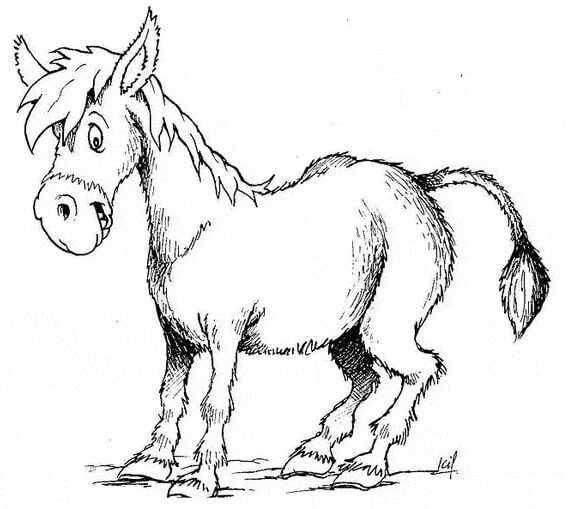 Dibujo de Burro Normal para Colorear