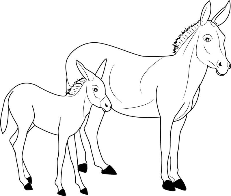 Dibujo de Burro Padre y Burro Beb para Colorear