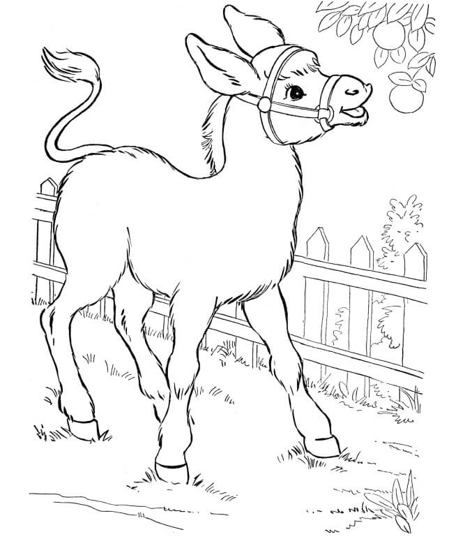 Dibujo de Burro con Frutas para Colorear