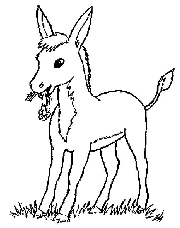 Dibujo de Burro de Dibujo en la Hierba para Colorear