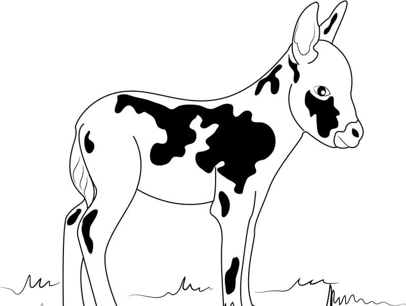 Dibujo de Burro en Miniatura para Colorear