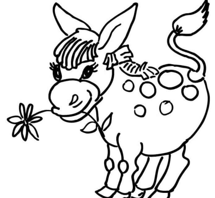 Dibujo de Burro con Flor para Colorear