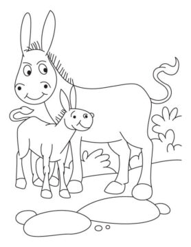 Dibujo de Madre Burro Bsico y Beb Burro para Colorear