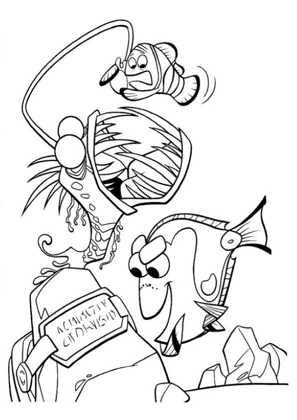 Dibujo de Marlin en Peligro para Colorear