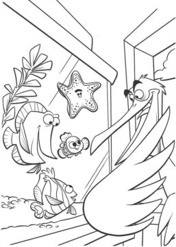 Dibujo de Nigel en Buscando a Nemo para Colorear