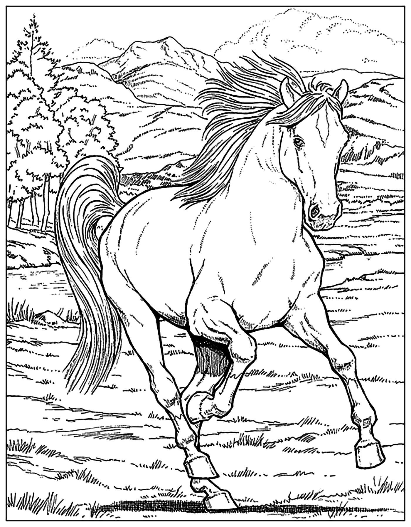 Dibujo de Caballo Corriendo Adulto para Colorear