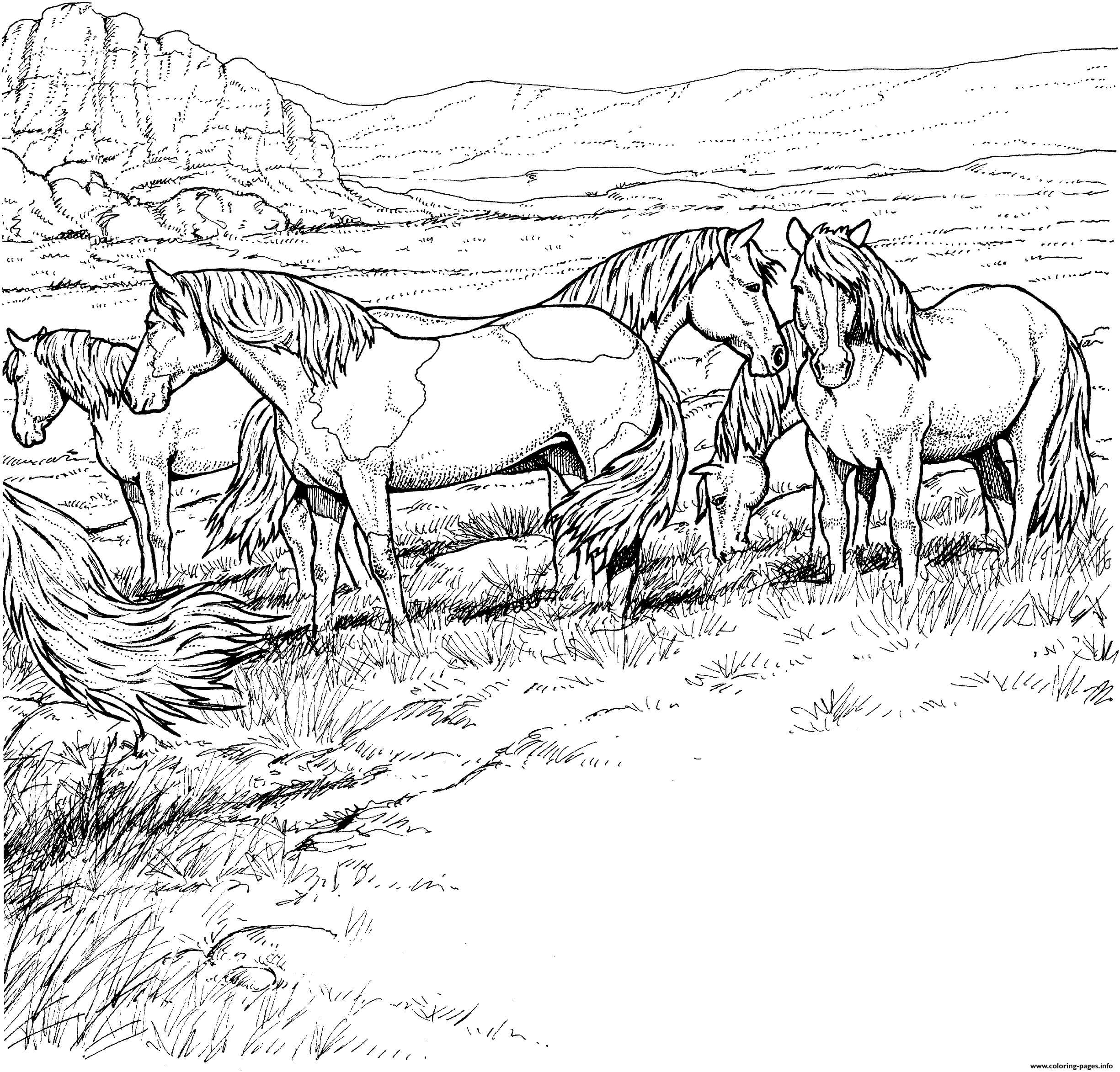 Dibujo de Caballo de Carga para Colorear