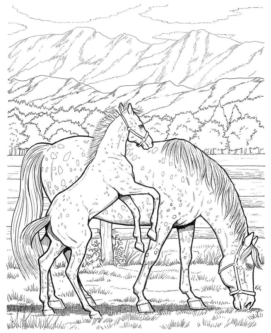 Dibujo de Caballo de Madre e Hijo Comiendo Hierba para Colorear