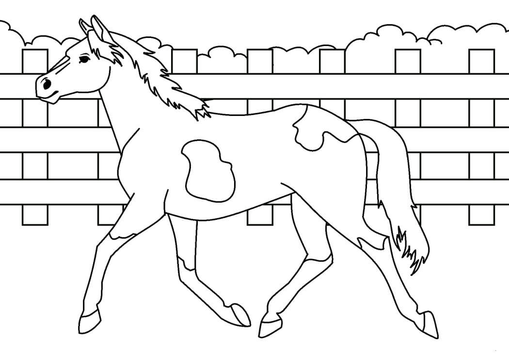 Dibujo de Caballo para Imprimir para Colorear