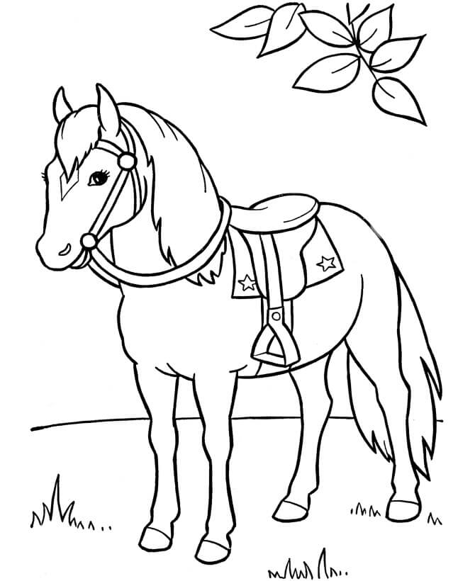 Dibujo de Caballo Parado en la Hierba para Colorear